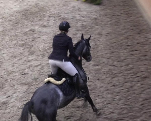 Adventsturnier Leck 2021