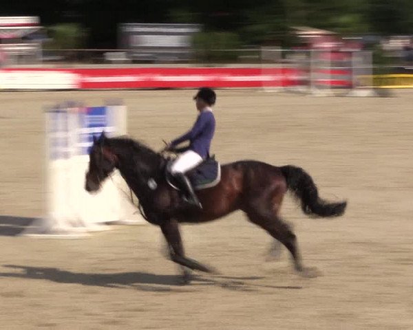 Euregioturnier Wietmarschen 2015