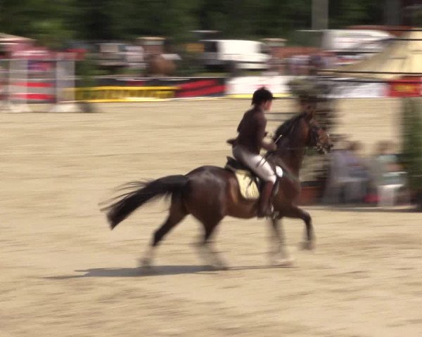 Euregioturnier Wietmarschen 2015