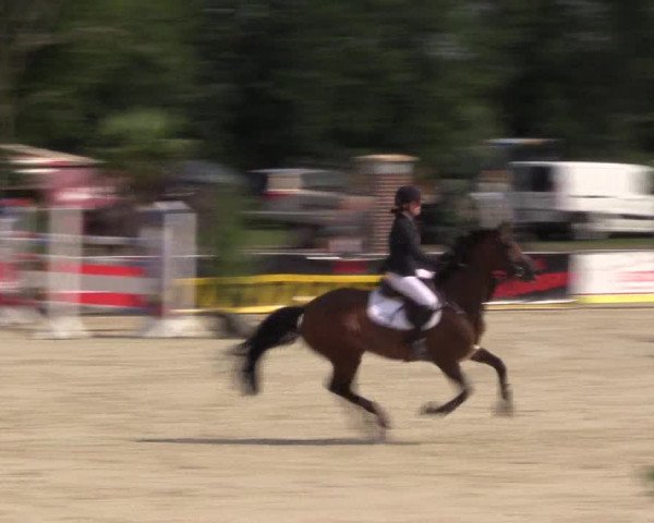 Euregioturnier Wietmarschen 2015