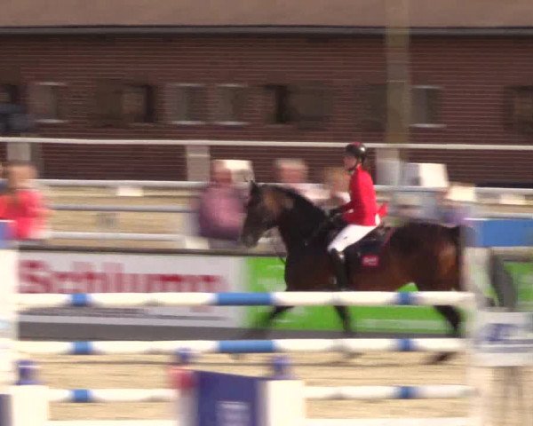 Euregioturnier Wietmarschen 2015