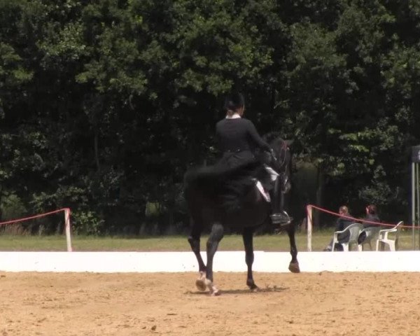 Euregioturnier Wietmarschen 2015