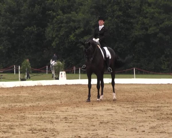 Euregioturnier Wietmarschen 2015