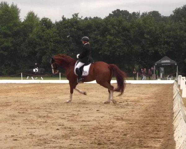 Euregioturnier Wietmarschen 2015