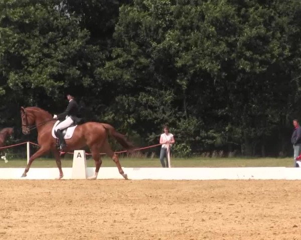 Euregioturnier Wietmarschen 2015