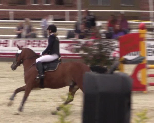 Euregioturnier Wietmarschen 2015