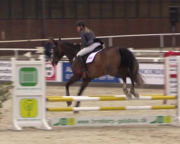 Euregioturnier Wietmarschen 2015