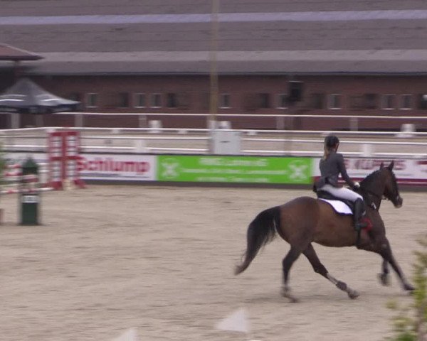 Euregioturnier Wietmarschen 2015