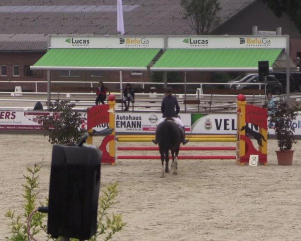 Euregioturnier Wietmarschen 2015
