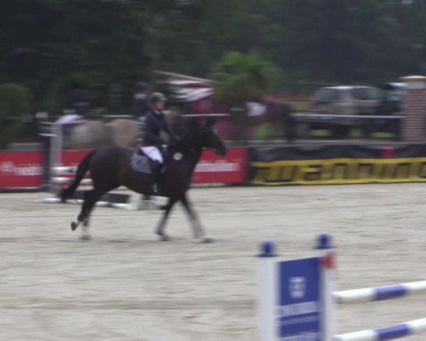 Euregioturnier Wietmarschen 2015