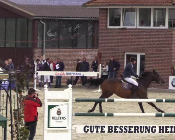 Euregioturnier Wietmarschen 2015