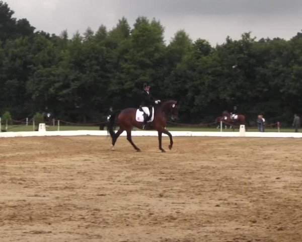 Euregioturnier Wietmarschen 2015