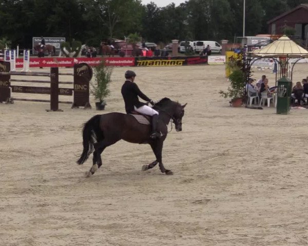 Euregioturnier Wietmarschen 2015