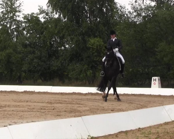 Euregioturnier Wietmarschen 2015