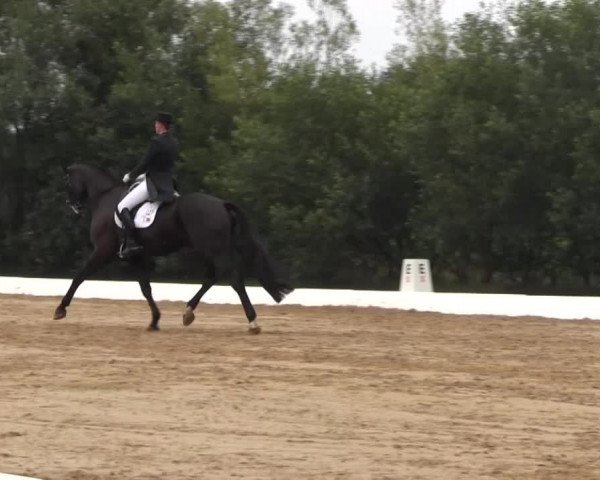Euregioturnier Wietmarschen 2015