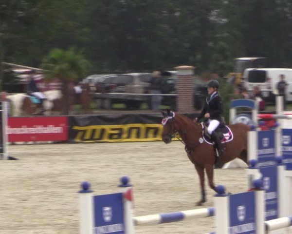 Euregioturnier Wietmarschen 2015
