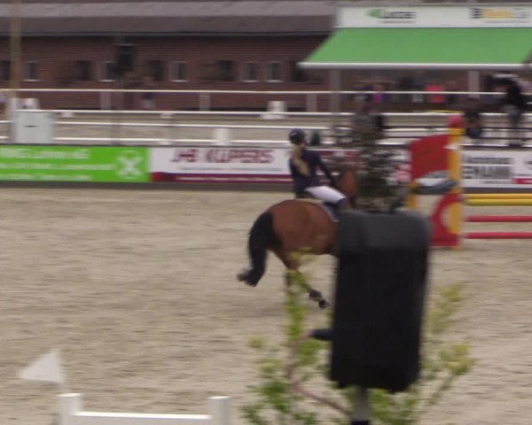 Euregioturnier Wietmarschen 2015