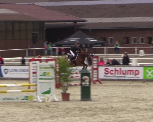 Euregioturnier Wietmarschen 2015