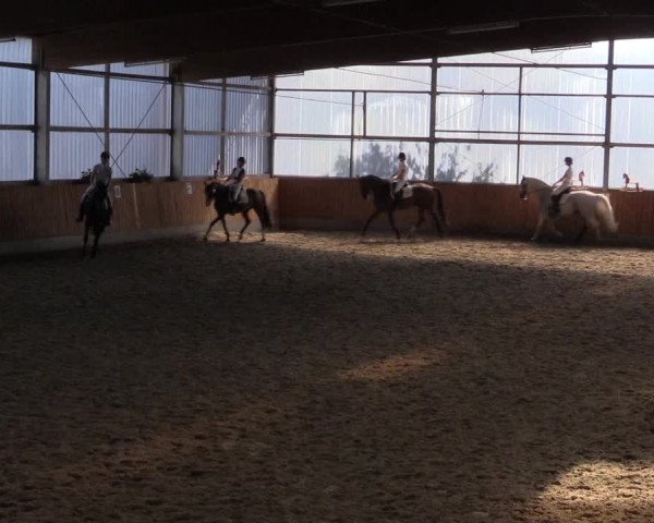 Reitturnier Herbern 2015