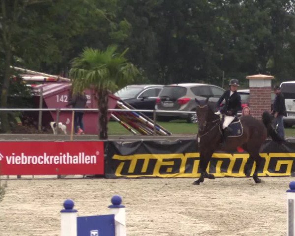 Euregioturnier Wietmarschen 2015