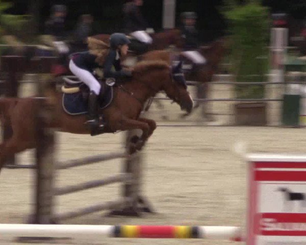 Euregioturnier Wietmarschen 2015