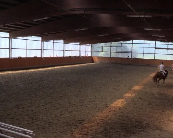 Reitturnier Herbern 2015
