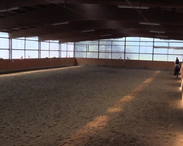 Reitturnier Herbern 2015