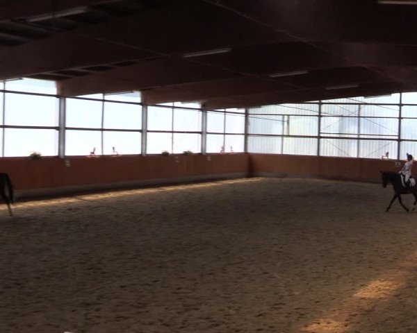 Reitturnier Herbern 2015