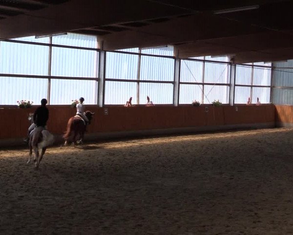 Reitturnier Herbern 2015