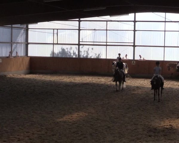 Reitturnier Herbern 2015