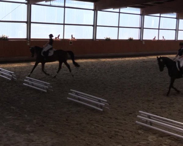 Reitturnier Herbern 2015