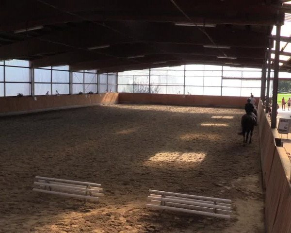 Reitturnier Herbern 2015