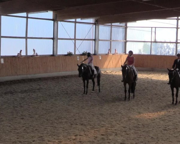 Reitturnier Herbern 2015