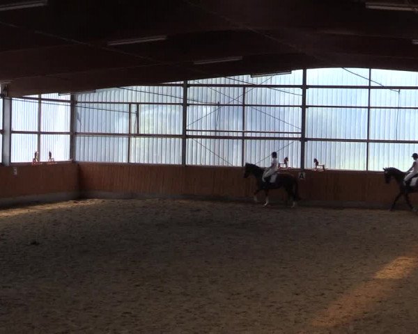 Reitturnier Herbern 2015