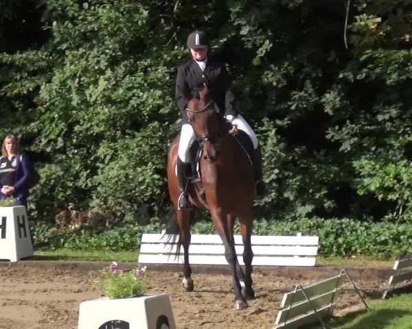Reitturnier Viersen-Dülken 2015