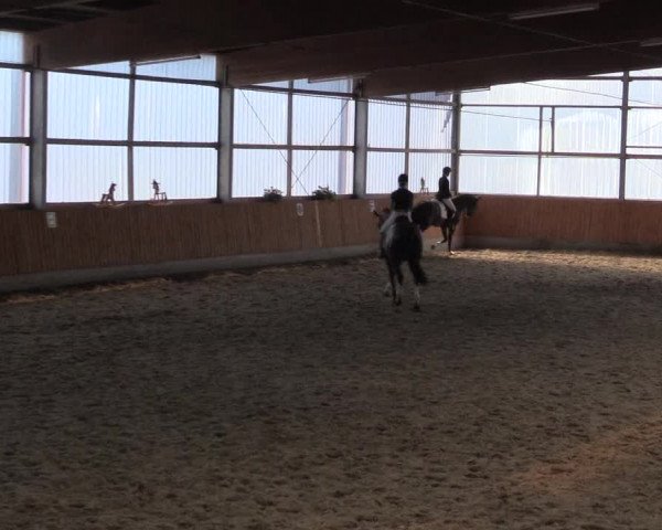 Reitturnier Herbern 2015