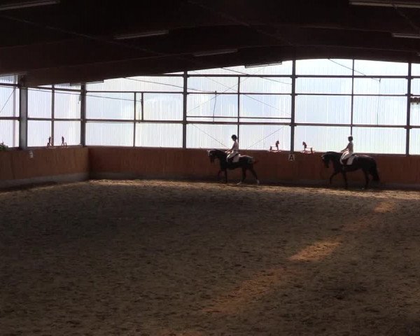 Reitturnier Herbern 2015
