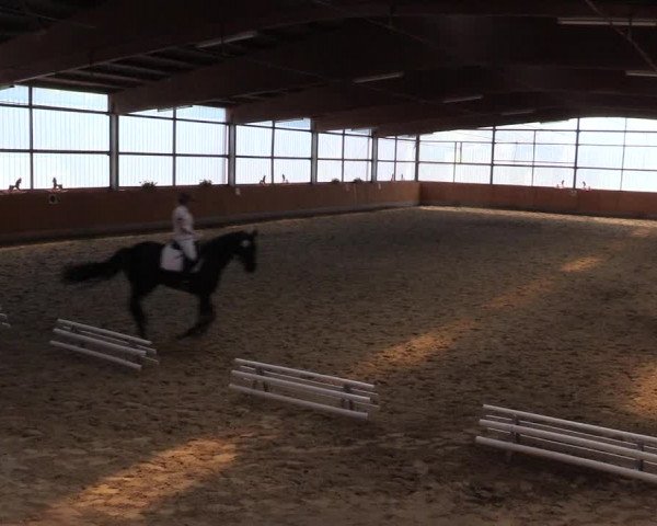 Reitturnier Herbern 2015