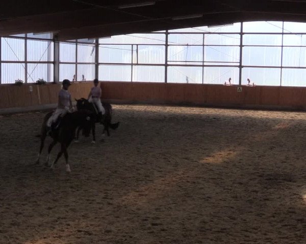 Reitturnier Herbern 2015