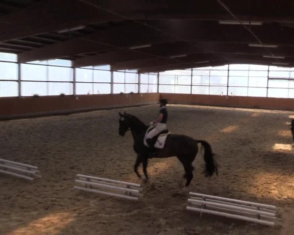 Reitturnier Herbern 2015