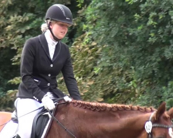 Reitturnier Viersen-Dülken 2015