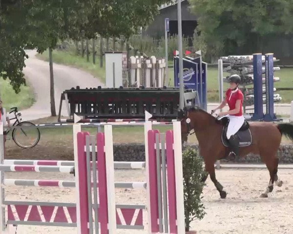 Reitturnier Ingolstadt-Hagau 2015
