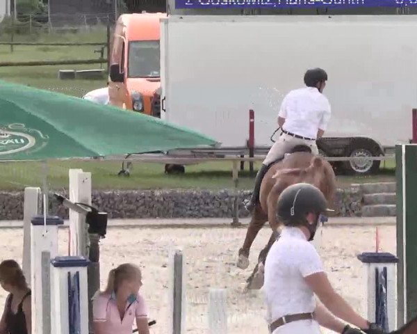 Reitturnier Ingolstadt-Hagau 2015