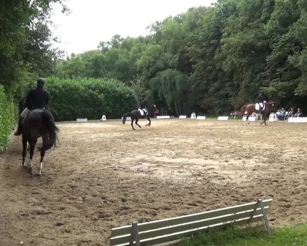 Reitturnier Viersen-Dülken 2015