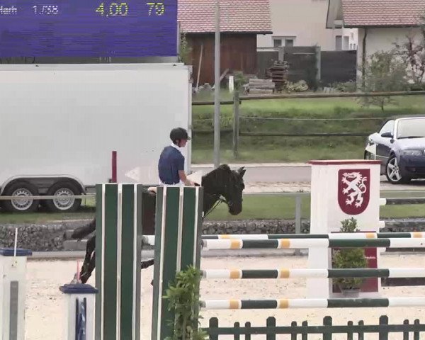 Reitturnier Ingolstadt-Hagau 2015