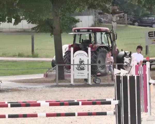 Reitturnier Ingolstadt-Hagau 2015