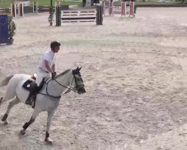 Reitturnier Ingolstadt-Hagau 2015
