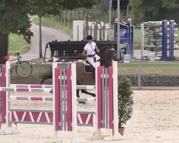 Reitturnier Ingolstadt-Hagau 2015