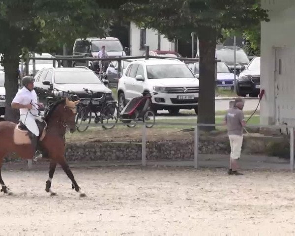 Reitturnier Ingolstadt-Hagau 2015