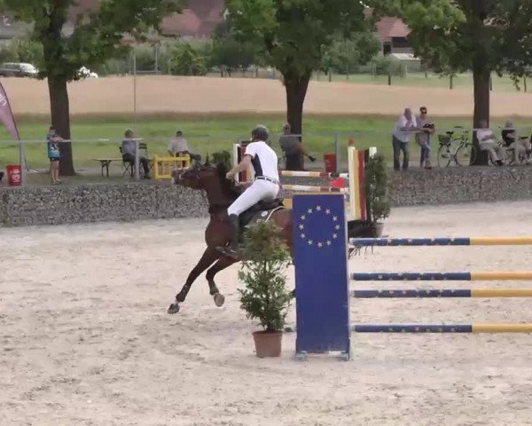 Reitturnier Ingolstadt-Hagau 2015